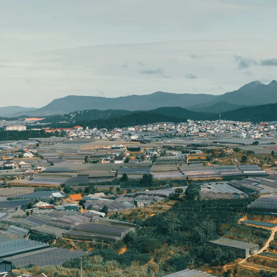 Không gian Hoàng Thị Ngọc Diệp 1982